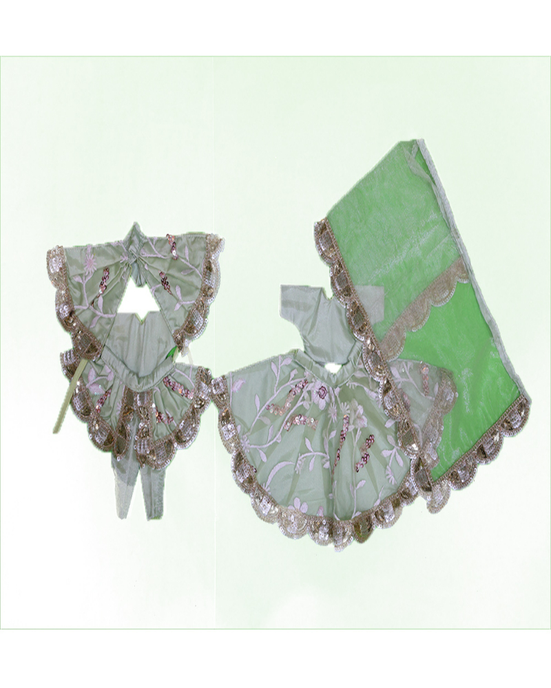 Light Green Sequin & Leaf Pattern Radha Krishna Dress With Intricate Embroidery
