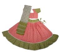 Vishakha Sakhi Ju Printed Cotton Gopi Poshak with 5 Meter Ghera 