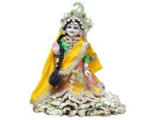 Beautiful Radhakrishna with full shringar 