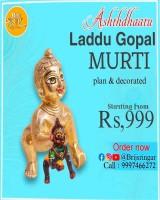 Ashtadhatu Laddu Gopal Murti Plan and Decorated