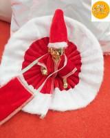 Special Santa Dress for Laddu Gopal ji