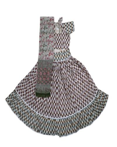 Chitra Sakhi Ju Printed Cotton Gopi Poshak with 5 Meter Ghera 