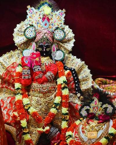 Regal Red And Golden Poshak For Shri Radhaballav Ji