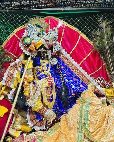 Royal Blue and Yellow Poshak for Shri Radhaballav Ji