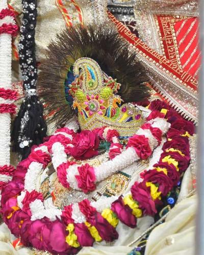 Radhaballabh Ji in Traditional Poshak with Beautiful Floral Garlands