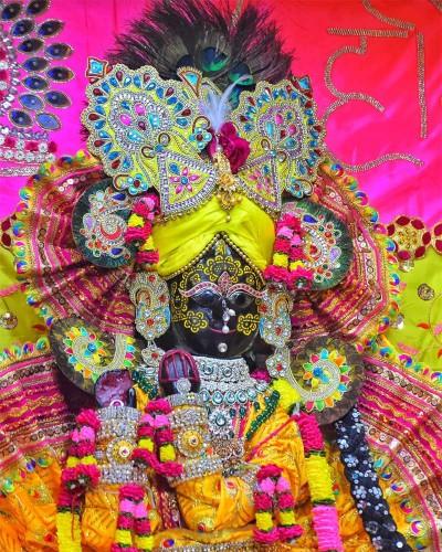 Radhaballav Ji Poshak Adorned in Splendid Yellow and Pink Traditional Dress