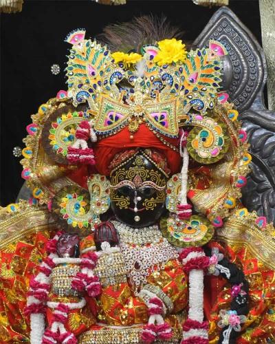Luxury Style Radhaballav Ji Poshak  Red and White Garlands