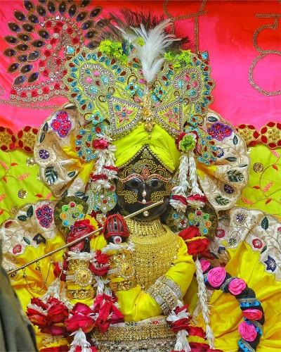 Designer Yellow and Gold Poshak Set for Radhaballav Ji with Heavy Jewelry