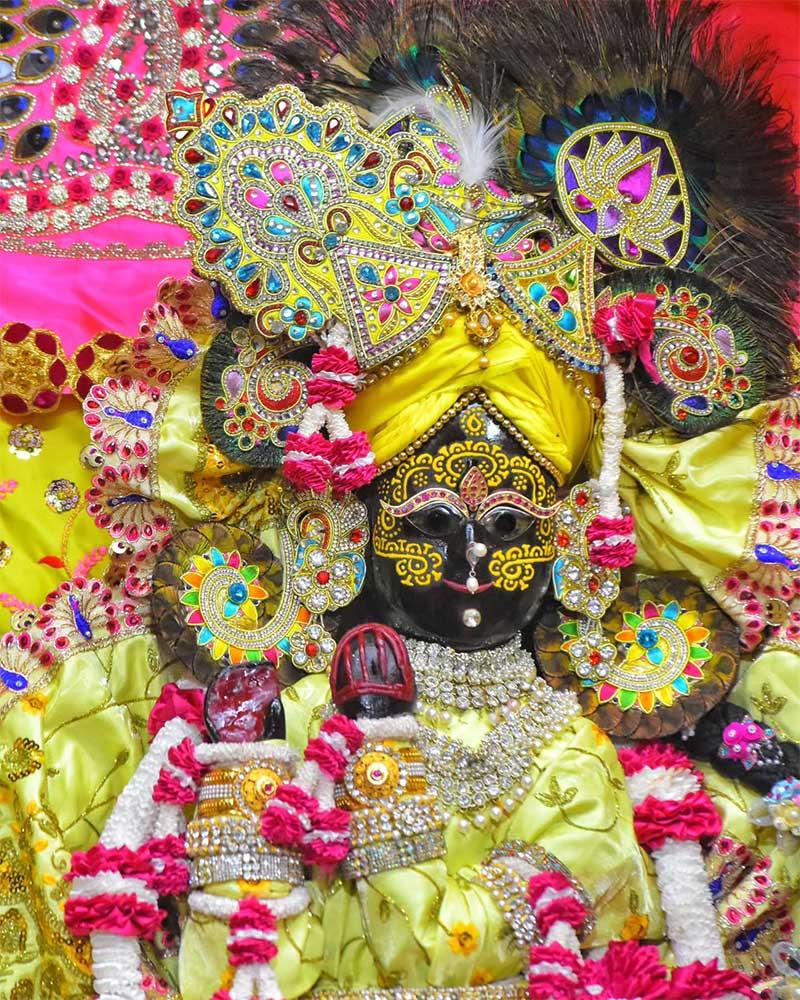 Elegant Yellow Poshak for Radhaballav Ji with Colorful Floral Garland Elegant Yellow Poshak for Radhaballav Ji with Colorful Floral Garland